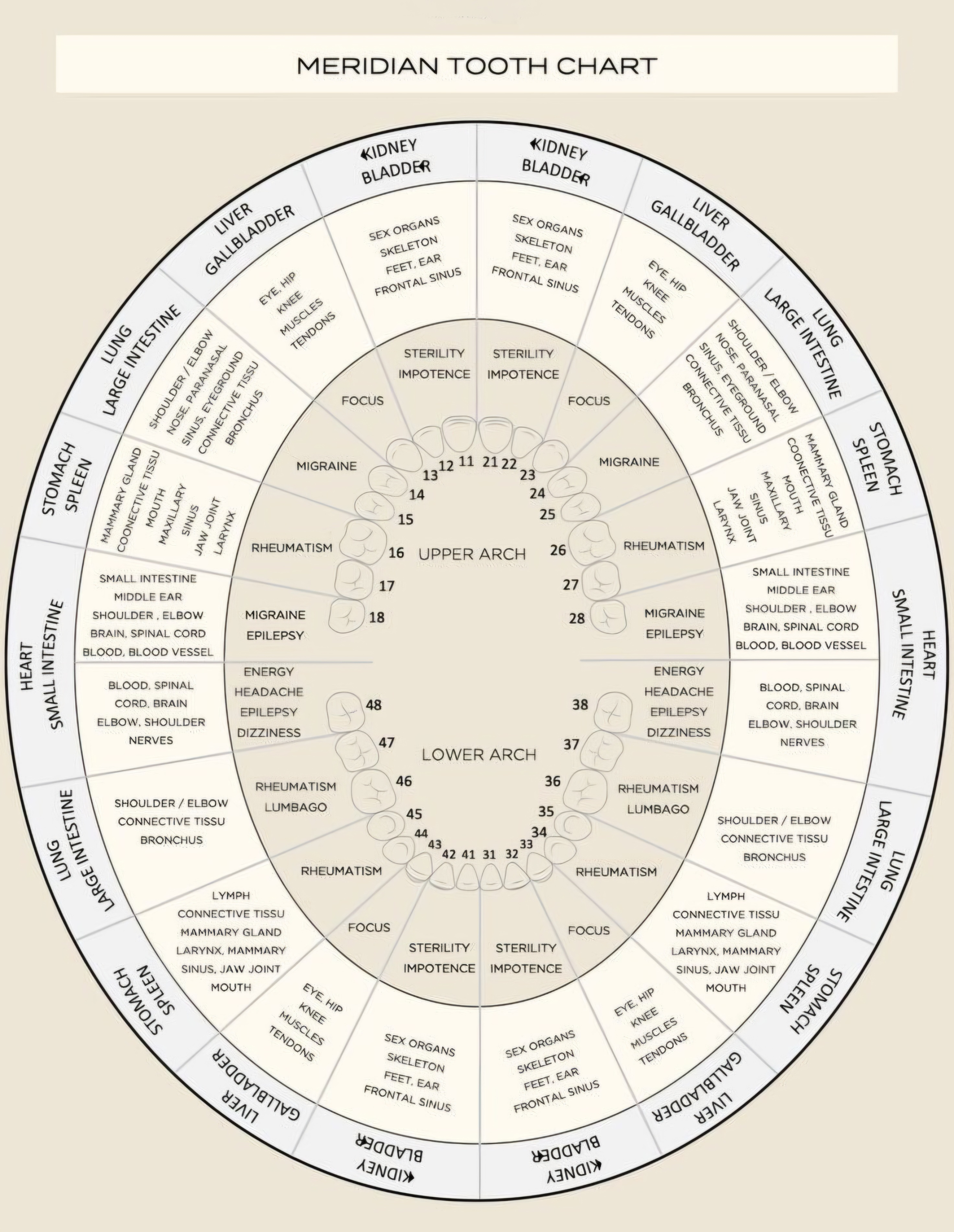 When a Tooth Isn’t “Just a Tooth”